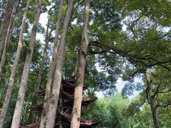 -青城山