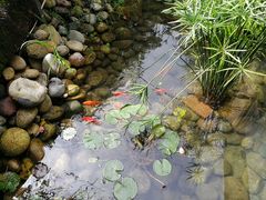 -晶泽丽琅·鱼鲜川菜(川师店)