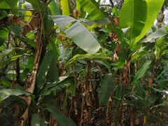 -华南国家植物园-售票处