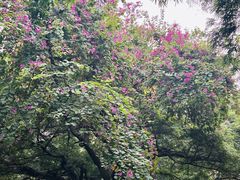 -晓港公园