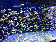 -成都浩海立方海洋公园