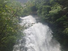 -鹿院坪生态旅游景区