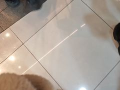 -绿茶餐厅(滨海万达广场店)