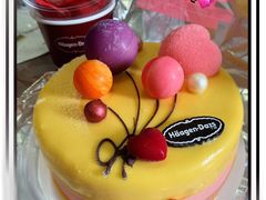 派对时刻蛋糕冰淇淋-哈根达斯(武汉天地店)