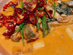 -柿合缘新京菜(国金中心商场店)
