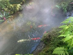 -Chom Cafe and Restaurant