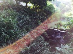 -龙山酒店温泉
