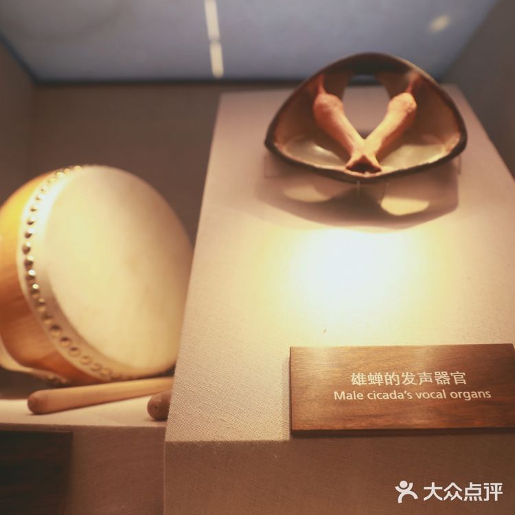 昆虫身上的奥秘