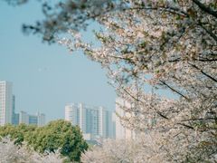 -诺贝尔湖公园