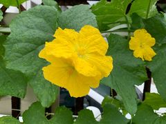 -上海普陀区机动车检测站第十一机动车安全检测站