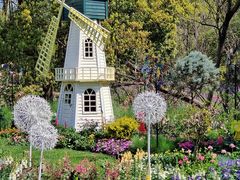 -上海共青森林公园