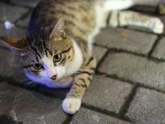 -老外街