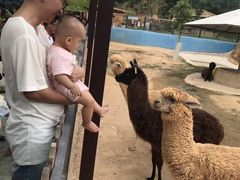 -泉州海丝野生动物世界