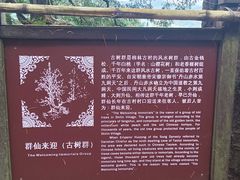 -丹山赤水风景名胜区
