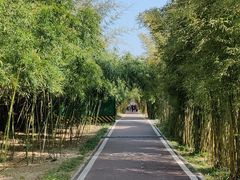 -武汉园博园(武汉自然博物馆)