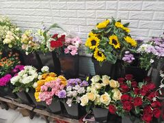 -雪蔓之鲜花气球派对(家佳源时代中心店)