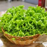 菜菜菜菜包肉