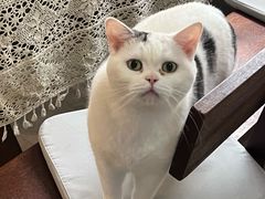 -三仟津花园咖啡馆