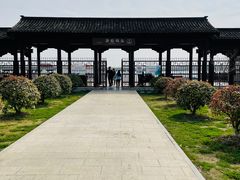 -南湖湿地公园