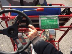 出租自行车-上海海湾国家森林公园