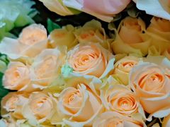 -小稻田辣椒炒肉(大浪商业中心店)