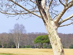 -钟山体育运动公园