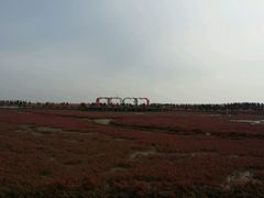 -红海滩国家风景廊道