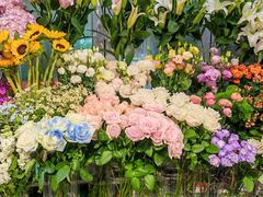 -FEI FEI FLOWER鲜花店·气球派对·宝宝宴布置(虹口德必运动Loft店)