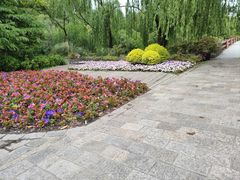 -上海滨江森林公园