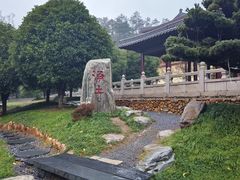 -庐山风景名胜区-东林大佛