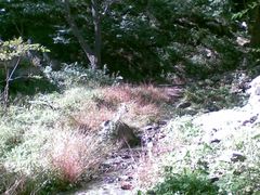 20101005_008-医巫闾山