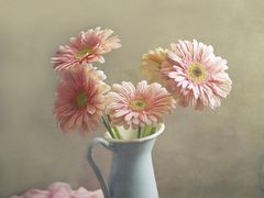 -阿英煲(凉城路店)