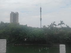 -长安公园