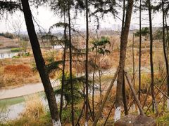 -白鹭湾湿地公园