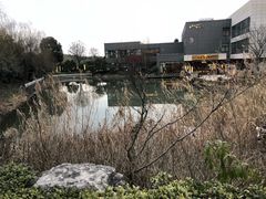 -天目湖涵田半山温泉