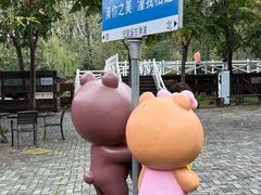 -溱湖国家湿地公园