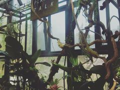 -北马山庄植趣咖啡