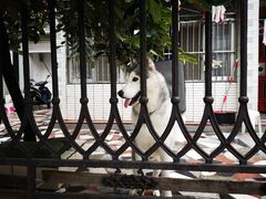 -满记甜品(富华里店)