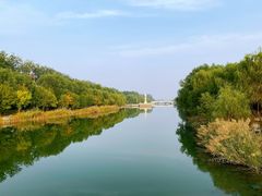 -马家湾湿地公园