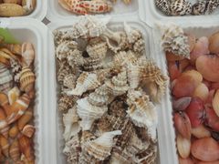 -万达广场(武汉菱角湖店)