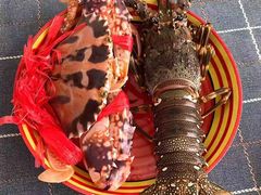 -鸿港海鲜批发市场