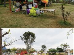 -白石龙音乐公园