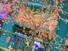 -幸福花欢乐世界(东辰广场A座店)