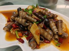辣炒丁螺-华盛丰温州大排档(东三环南路店)