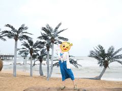 -北戴河碧螺塔海上酒吧公园