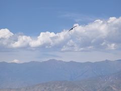 -新疆那拉提国家旅游度假区