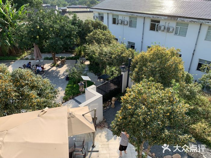 曼陀林餐厅(西湖虎跑店)-图片-杭州美食-大众点评网