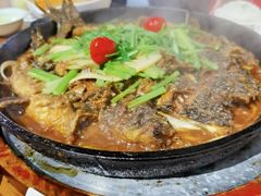-老板恋上鱼(高新万达店)