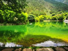 -蝴蝶泉公园