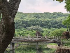 -苏州上方山国家森林公园
